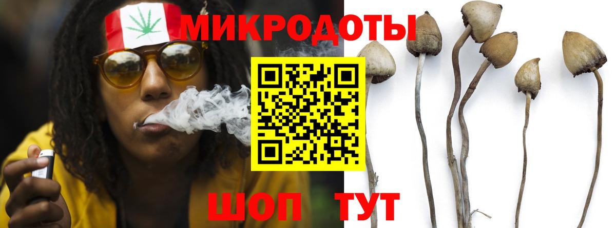 Кисловодск  Галлюциногенные грибы Psilocybine cubensis  Псилоцибиновые грибы мухоморы  Вход с VPN 